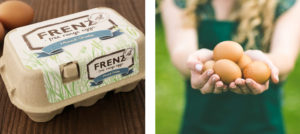 Frenz Branding