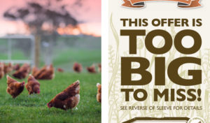 Frenz Marketing & Branding