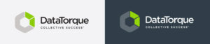 DataTorque Logo Design