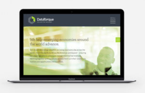 DataTorque Website Design